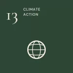caryle_sdg_13_climate_action